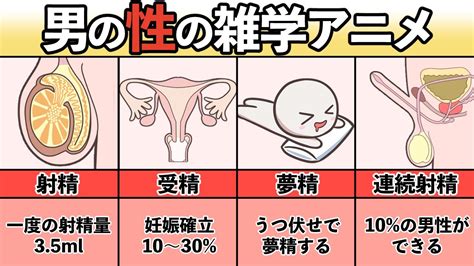 男性 性欲 我慢|男性はどれくらいセックスを我慢できる？｜知っておきたい身体 